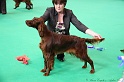 Crufts2011 154